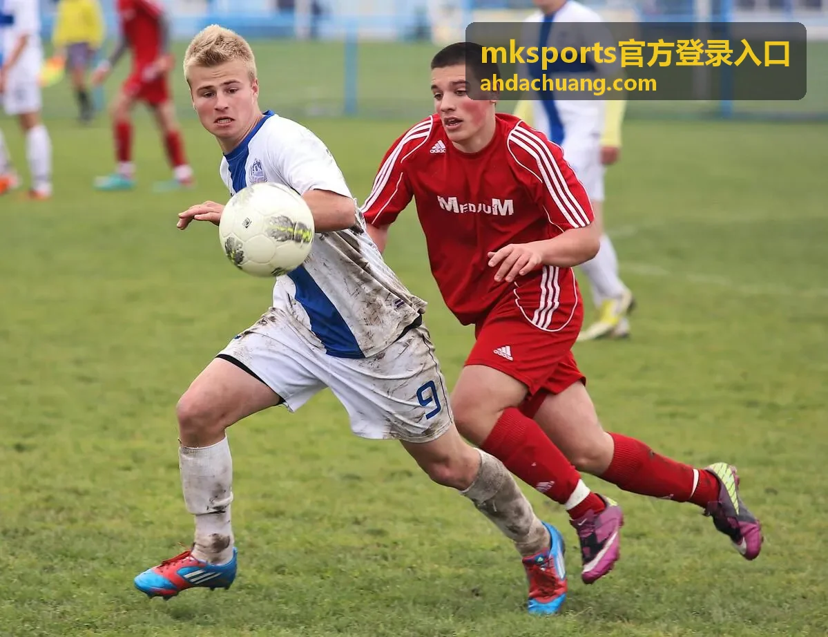 mksports官方登录入口新设备登录提示