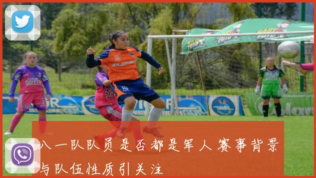 八一队队员是否都是军人 赛事背景与队伍性质引关注