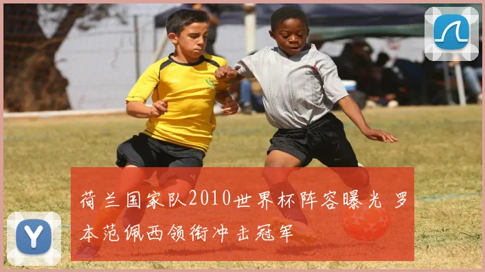 荷兰国家队2010世界杯阵容曝光 罗本范佩西领衔冲击冠军