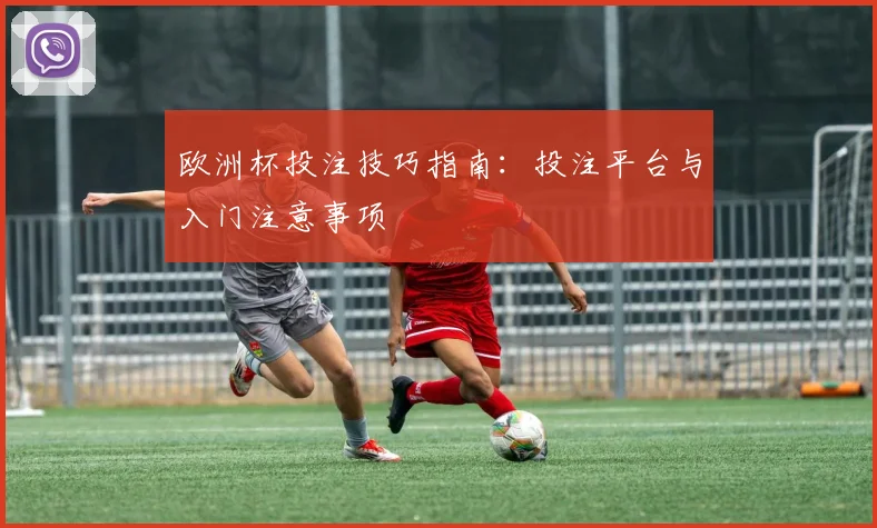欧洲杯投注技巧指南：投注平台与入门注意事项