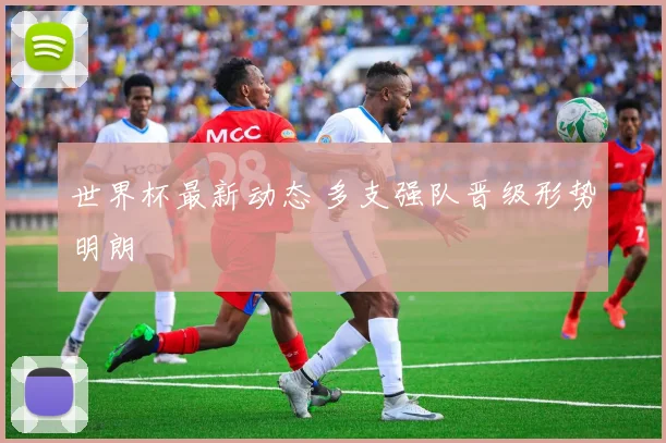世界杯最新动态 多支强队晋级形势明朗