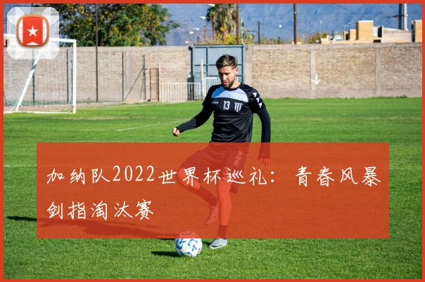 加纳队2022世界杯巡礼：青春风暴剑指淘汰赛