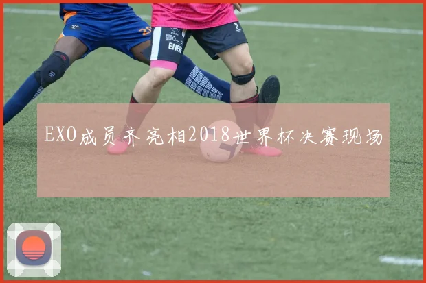EXO成员齐亮相2018世界杯决赛现场