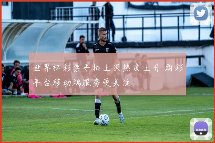 世界杯彩票手机上买热度上升 购彩平台移动端服务受关注
