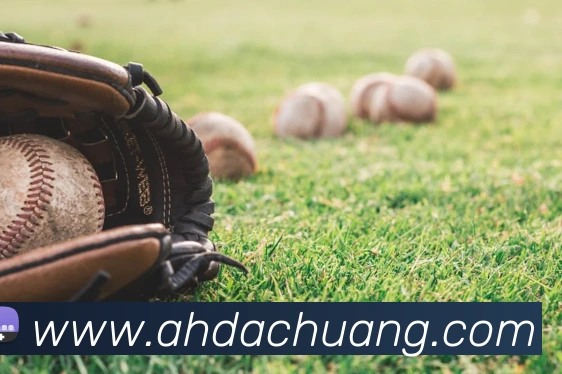 必一运动体育官网APP 封面图