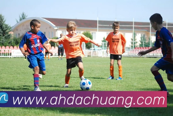 数据防护可视化